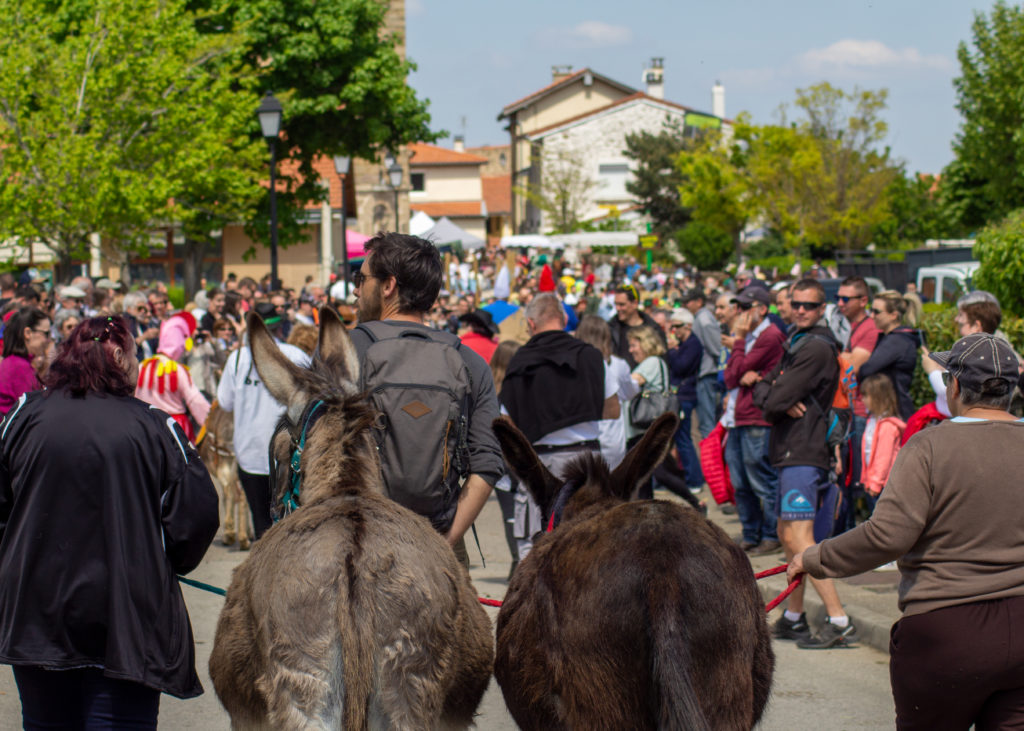 Fête de l'Ane