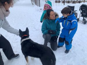 chien de neige